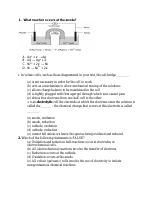 Worksheet Grade 12.pdf